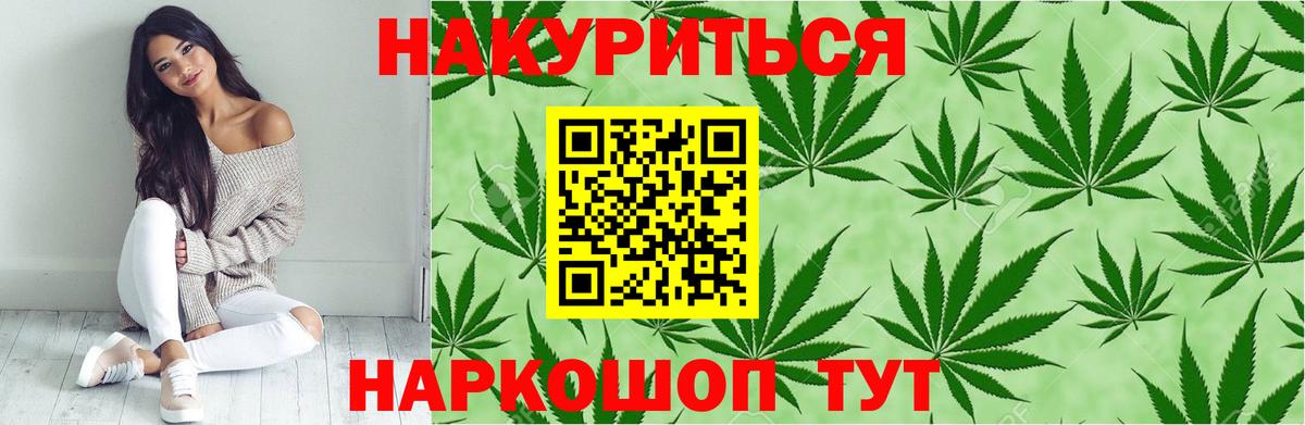 Бошки Шишки планчик Карпинск
